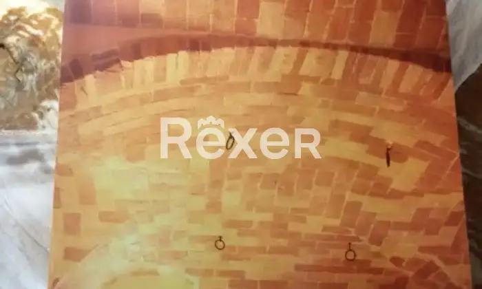 Rexer-Carpineto-della-Nora-Casa-indipendente-in-vendita-in-Via-Dietro-Le-Mura-a-Carpineto-della-Nora-Altro