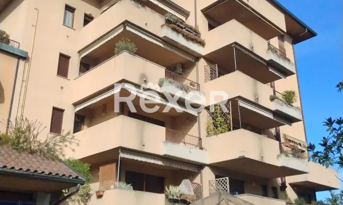 Rexer-Lissone-Bilocale-di-mq-oltre-terrazzo-al-primo-piano-Altro