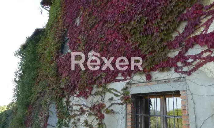 Rexer-Castel-San-Gimignano-Casale-in-vendita-in-via-di-Castel-S-Gimignano-a-San-Gimignano-Altro