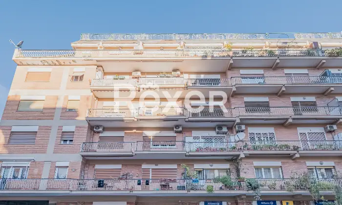 Rexer-Ciampino-Appartamento-ampia-metratura-zona-centrale-Altro