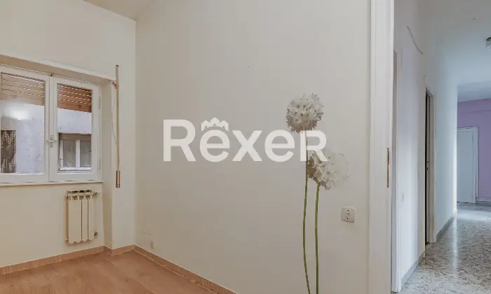 Rexer-Ciampino-Appartamento-ampia-metratura-zona-centrale-Altro