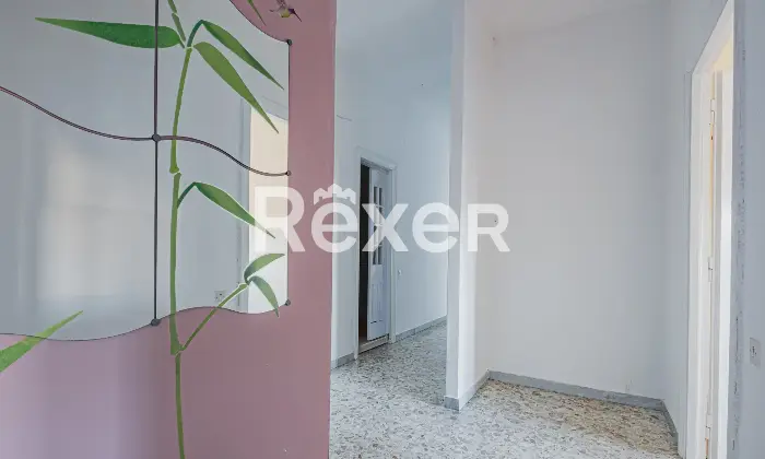 Rexer-Ciampino-Appartamento-ampia-metratura-zona-centrale-Altro