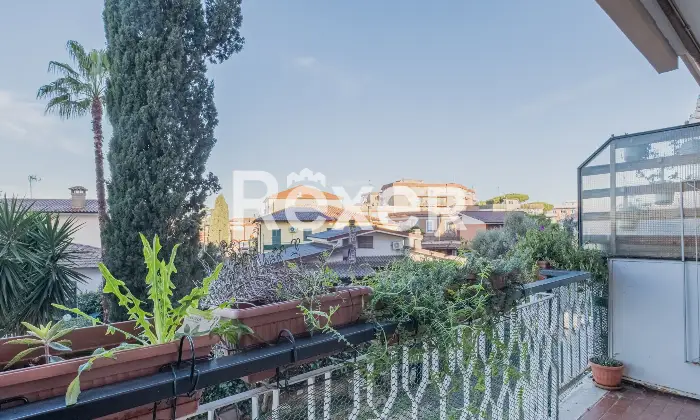 Rexer-Ciampino-Appartamento-ampia-metratura-zona-centrale-Altro