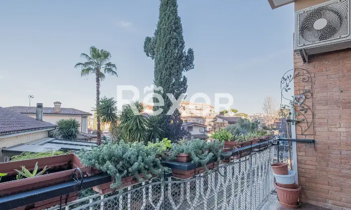 Rexer-Ciampino-Appartamento-ampia-metratura-zona-centrale-Altro