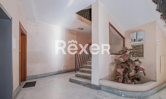 Rexer-Ciampino-Appartamento-ampia-metratura-zona-centrale-Altro