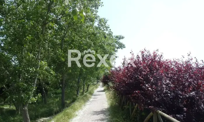 Rexer-Porto-Recanati-Casale-a-m-dal-mare-Ideale-per-BB-Porto-Recanati-Altro