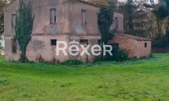 Rexer-Castelleone-di-Suasa-Propriet-rustica-in-vendita-in-Contrada-Case-Nuove-a-Castelleone-di-Suasa-Altro