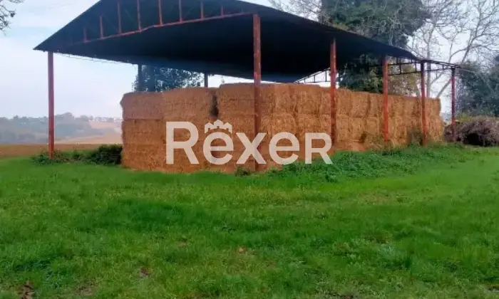 Rexer-Castelleone-di-Suasa-Propriet-rustica-in-vendita-in-Contrada-Case-Nuove-Altro