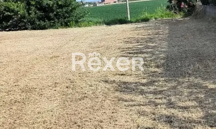 Rexer-Mirabello-Terreno-edificabile-in-via-Azimut-a-Mirabello-Altro