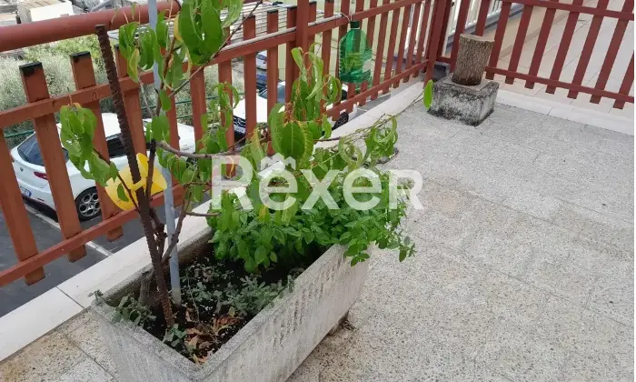 Rexer-Carpino-Casa-indipendente-in-vendita-in-Via-Umberto-Giordano-a-Carpino-Altro