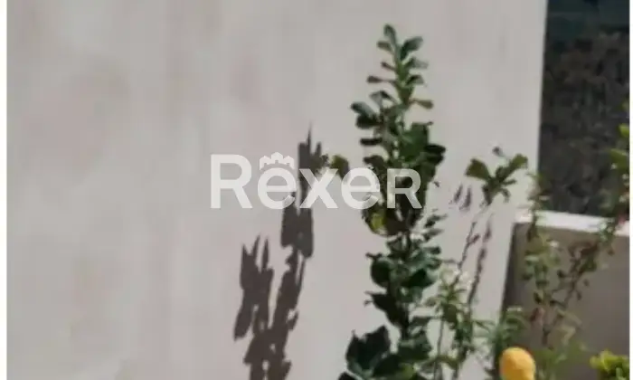 Rexer-Vico-del-Gargano-Masseria-in-vendita-in-Contrada-Particchiano-a-Vico-del-Gargano-Altro