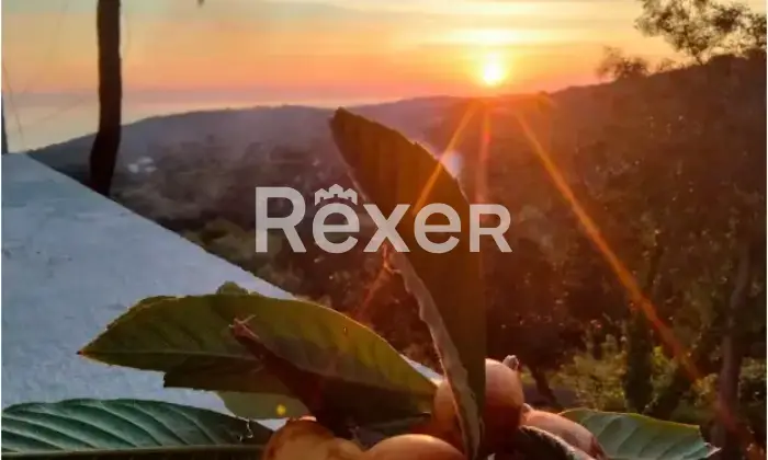 Rexer-Vico-del-Gargano-Masseria-in-vendita-in-Contrada-Particchiano-a-Vico-del-Gargano-Altro