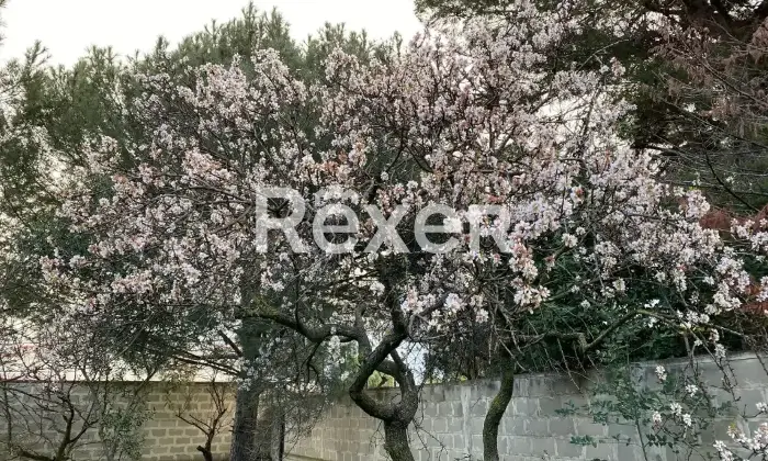 Rexer-Bisceglie-Villetta-bifamiliare-in-vendita-in-Via-Luigi-di-Molfetta-a-Bisceglie-Altro