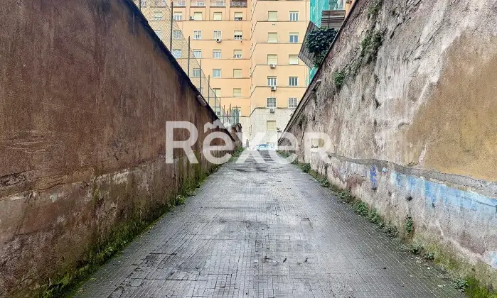 Rexer-Roma-Box-auto-ristrutturato-Altro