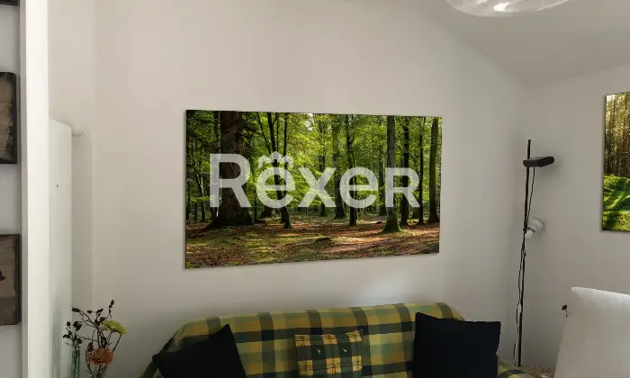 Rexer-Premilcuore-Attico-a-Premilcuore-Salone