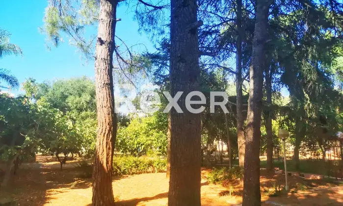 Rexer-Bari-Villa-in-vendita-in-Corso-Alcide-de-Gasperi-Carbonara-Bari-Altro