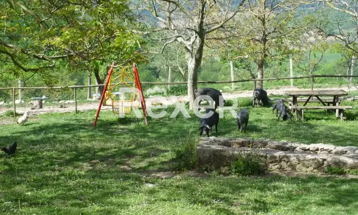 Rexer-San-Marco-la-Catola-Masseria-in-vendita-Altro