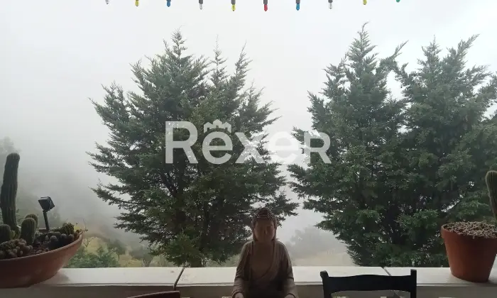 Rexer-Motta-Camastra-Casa-vacanza-in-vendita-in-Contrada-Canale-a-Motta-Camastra-Altro