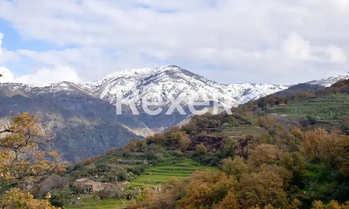 Rexer-Motta-Camastra-Casa-vacanza-in-vendita-in-Contrada-Canale-a-Motta-Camastra-Altro