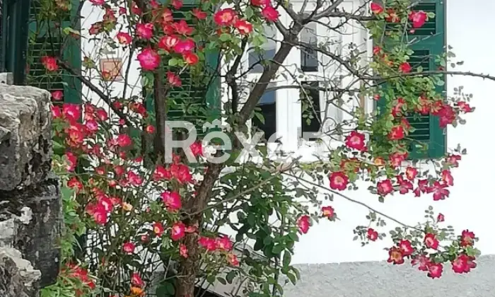 Rexer-Daglio-Casa-di-paese-in-vendita-Altro