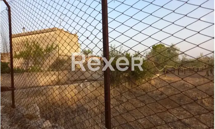 Rexer-San-Giovanni-Rotondo-Propriet-rustica-in-vendita-in-Contrada-Costarelle-San-Giovanni-Rotondo-Altro