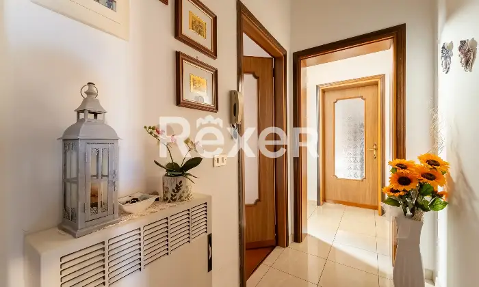 Rexer-Arluno-Ampio-tre-locali-Altro