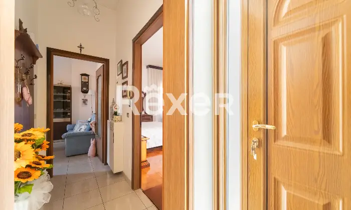 Rexer-Arluno-Ampio-tre-locali-Altro