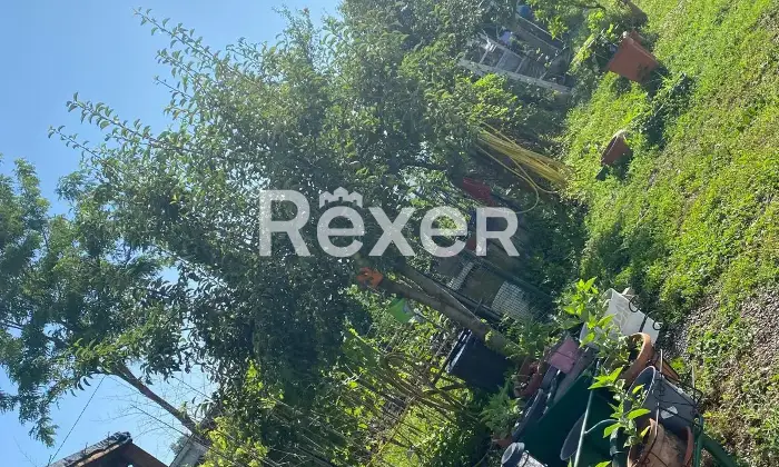 Rexer-Carpignano-Sesia-Intero-edificio-in-vendita-in-via-Giuseppe-Verdi-a-Carpignano-Sesia-Altro