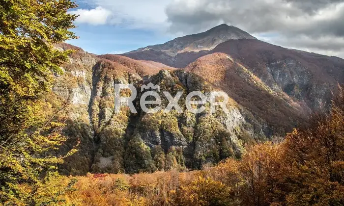 Rexer-Giarola-LEccellenza-dellOspitalit-Autentica-nellAppennino-Reggiano-Altro