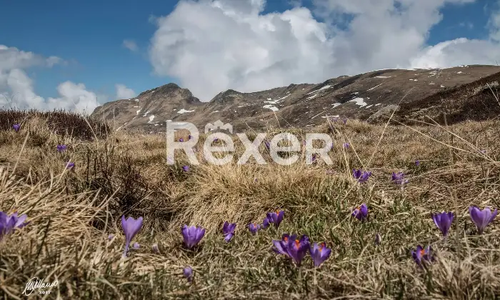 Rexer-Giarola-LEccellenza-dellOspitalit-Autentica-nellAppennino-Reggiano-Altro