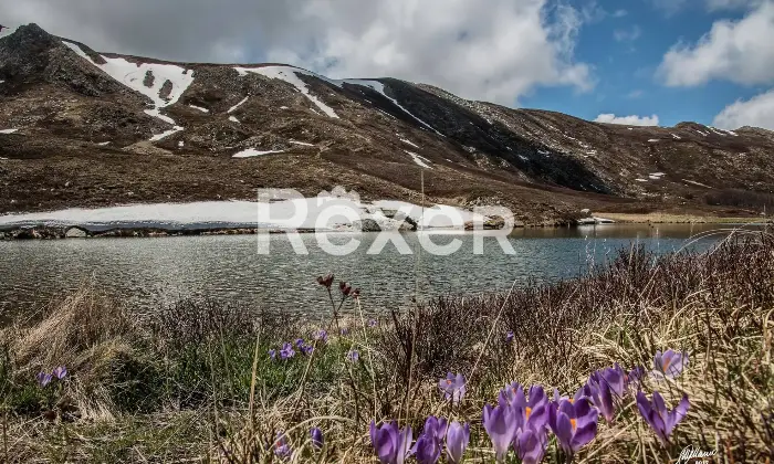 Rexer-Giarola-LEccellenza-dellOspitalit-Autentica-nellAppennino-Reggiano-Altro