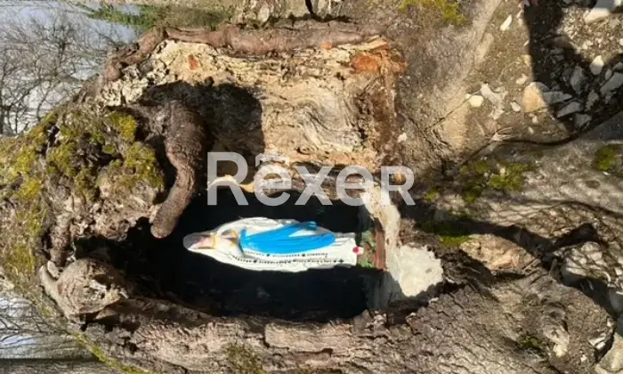 Rexer-Giarola-LEccellenza-dellOspitalit-Autentica-nellAppennino-Reggiano-Altro