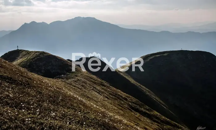 Rexer-Giarola-LEccellenza-dellOspitalit-Autentica-nellAppennino-Reggiano-Altro