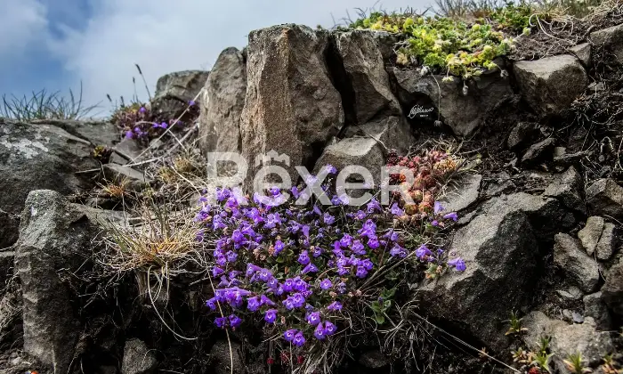 Rexer-Giarola-LEccellenza-dellOspitalit-Autentica-nellAppennino-Reggiano-Altro