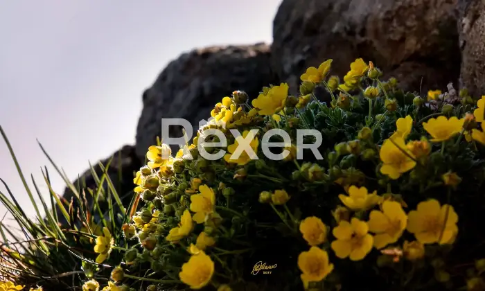 Rexer-Giarola-LEccellenza-dellOspitalit-Autentica-nellAppennino-Reggiano-Altro