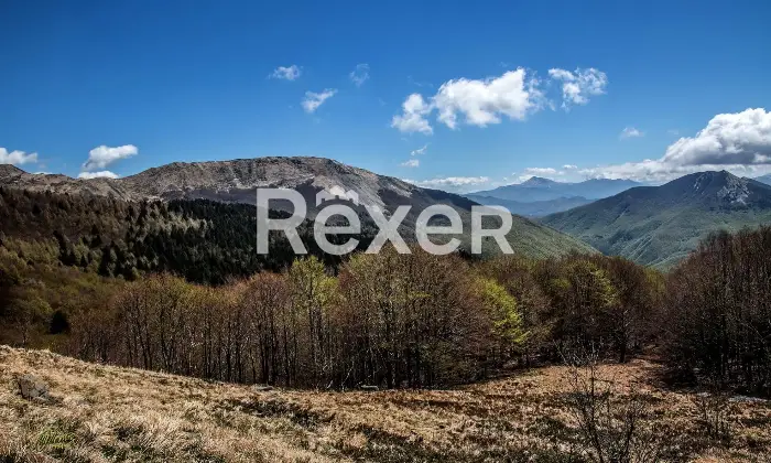 Rexer-Giarola-LEccellenza-dellOspitalit-Autentica-nellAppennino-Reggiano-Altro