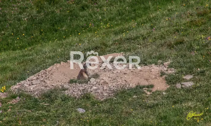 Rexer-Giarola-LEccellenza-dellOspitalit-Autentica-nellAppennino-Reggiano-Altro