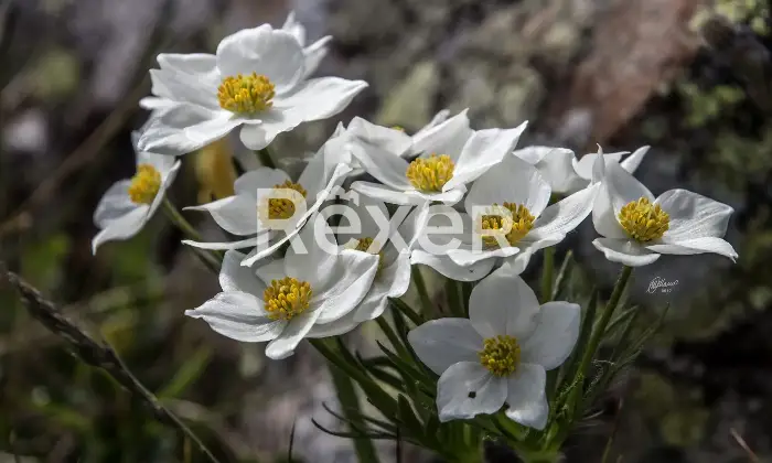 Rexer-Giarola-LEccellenza-dellOspitalit-Autentica-nellAppennino-Reggiano-Altro