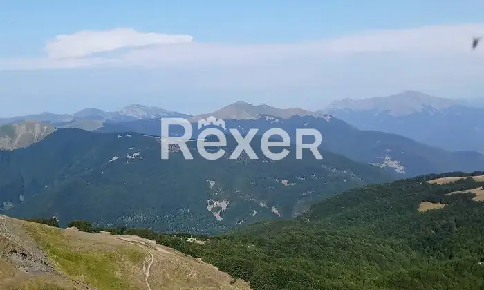 Rexer-Giarola-LEccellenza-dellOspitalit-Autentica-nellAppennino-Reggiano-Altro