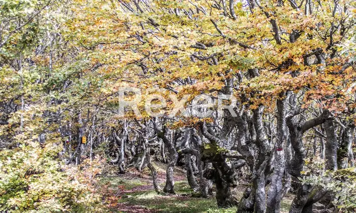 Rexer-Giarola-LEccellenza-dellOspitalit-Autentica-nellAppennino-Reggiano-Altro