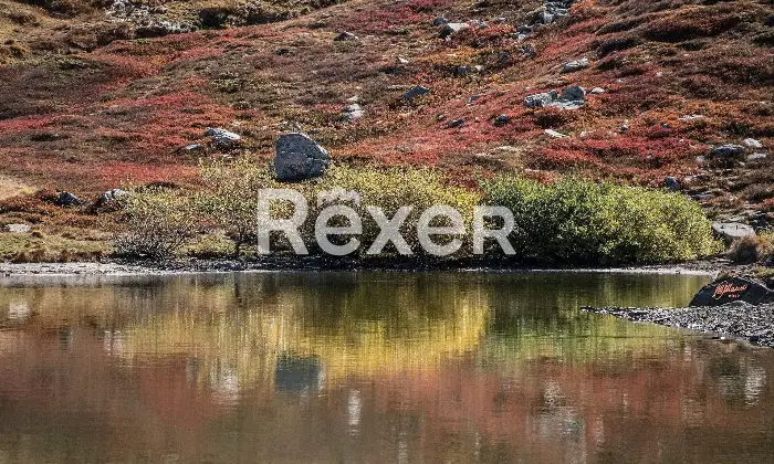 Rexer-Giarola-LEccellenza-dellOspitalit-Autentica-nellAppennino-Reggiano-Altro