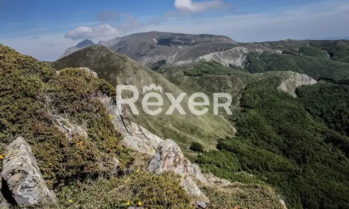 Rexer-Giarola-LEccellenza-dellOspitalit-Autentica-nellAppennino-Reggiano-Altro