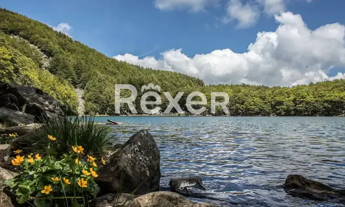 Rexer-Giarola-LEccellenza-dellOspitalit-Autentica-nellAppennino-Reggiano-Altro