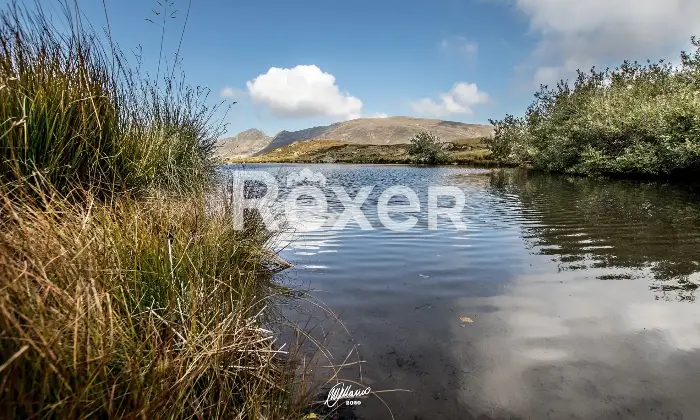 Rexer-Giarola-LEccellenza-dellOspitalit-Autentica-nellAppennino-Reggiano-Altro