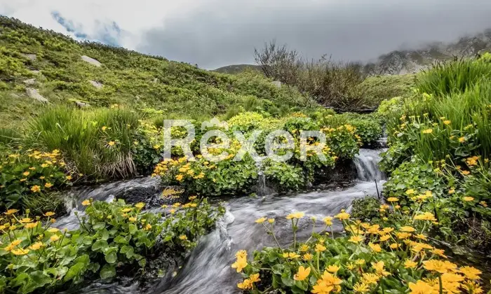 Rexer-Giarola-LEccellenza-dellOspitalit-Autentica-nellAppennino-Reggiano-Altro