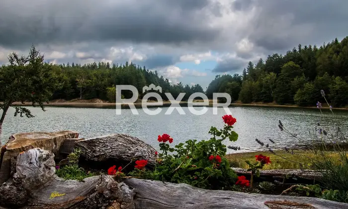 Rexer-Giarola-LEccellenza-dellOspitalit-Autentica-nellAppennino-Reggiano-Altro