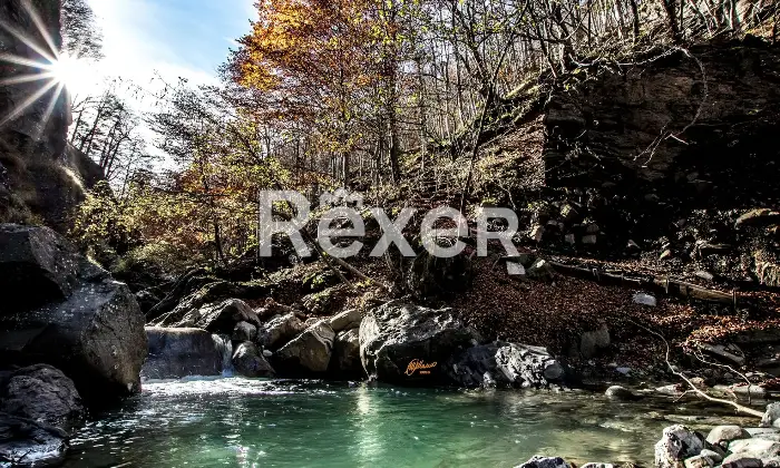 Rexer-Giarola-LEccellenza-dellOspitalit-Autentica-nellAppennino-Reggiano-Altro