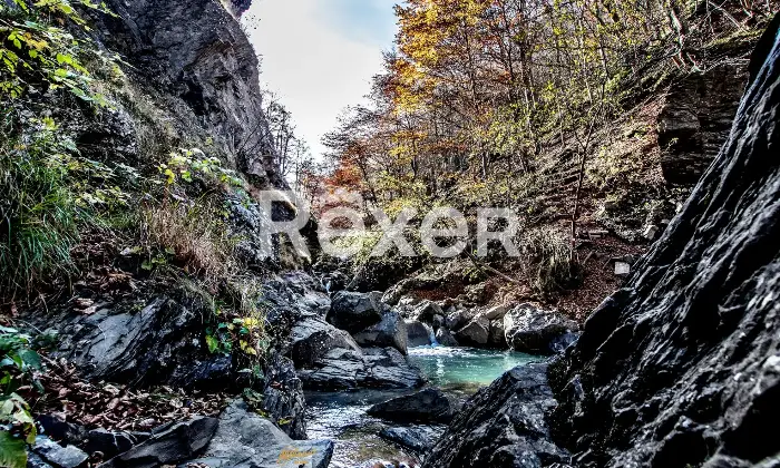 Rexer-Giarola-LEccellenza-dellOspitalit-Autentica-nellAppennino-Reggiano-Altro