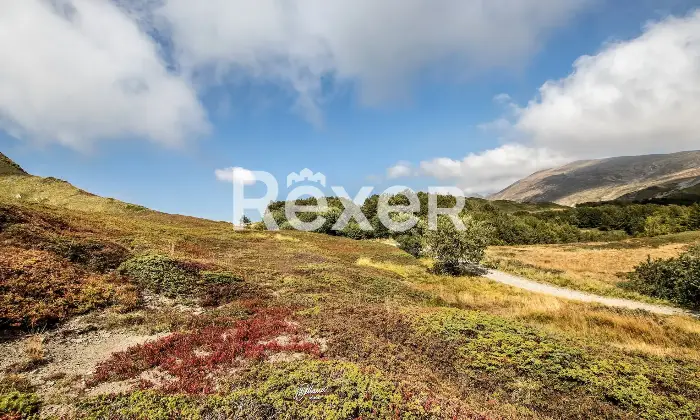 Rexer-Giarola-LEccellenza-dellOspitalit-Autentica-nellAppennino-Reggiano-Altro