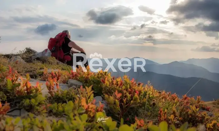 Rexer-Giarola-LEccellenza-dellOspitalit-Autentica-nellAppennino-Reggiano-Altro